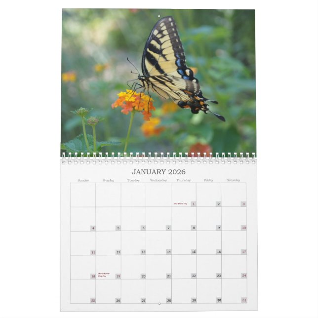 Calendario Un tacto de la mariposa de Sun (Jan 2026)
