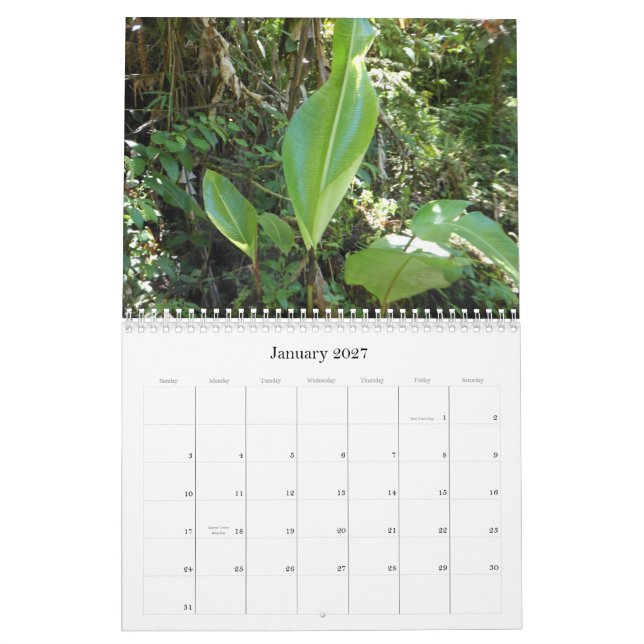 Calendario Un tacto de las zonas tropicales (Jan 2027)