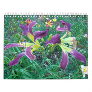 Calendario Un tacto de los Daylilies de Sun