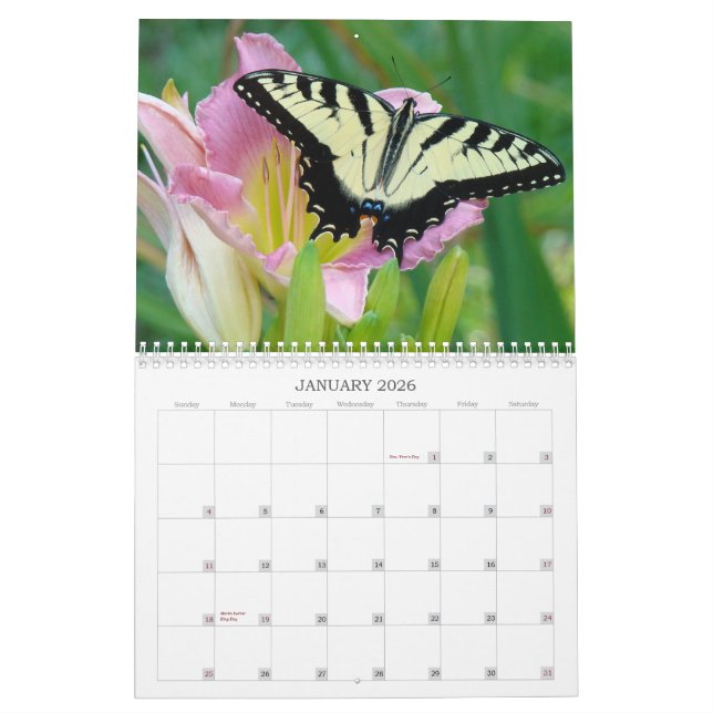 Calendario Un tacto de los Daylilies de Sun (Jan 2026)