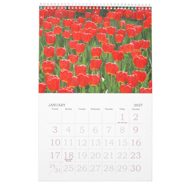 Calendario un tacto del rojo para 2013 (Jan 2027)