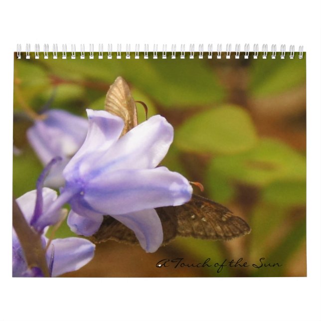 Calendario Un toque de las Carolinas (Tapa)