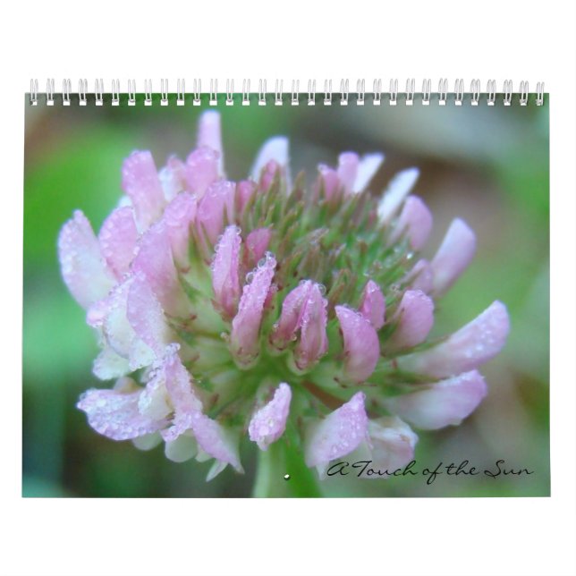 Calendario Un toque de naturaleza (Tapa)