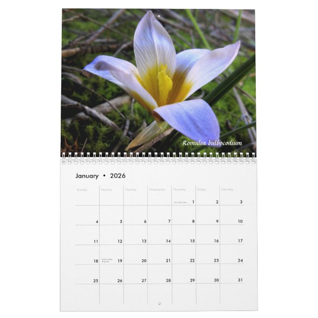 Calendario Un tributo a la flora de Grecia septentrional (Jan 2026)