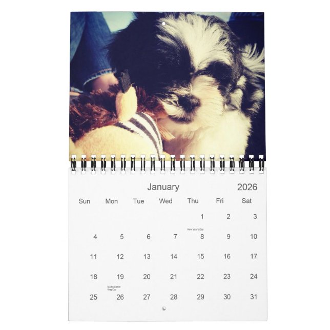 Calendario Una dosis diaria de la panda (Jan 2026)