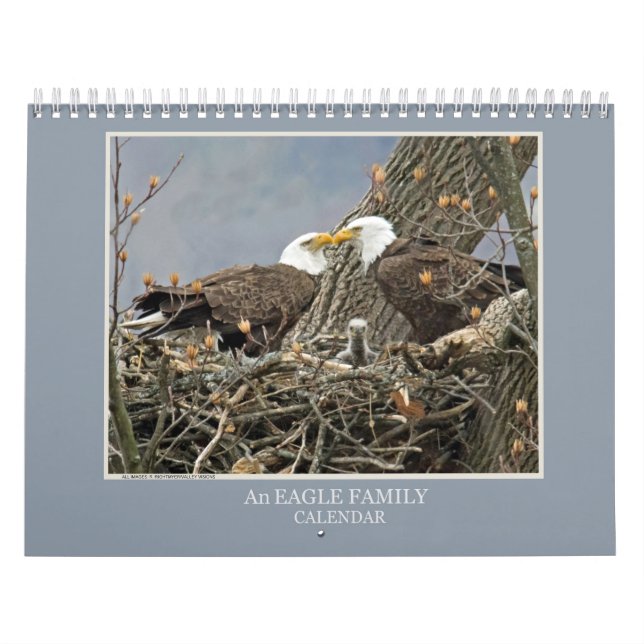 Calendario Una familia de águilas (Tapa)