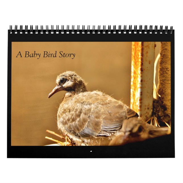 Calendario Una historia de pájaro bebé (Tapa)
