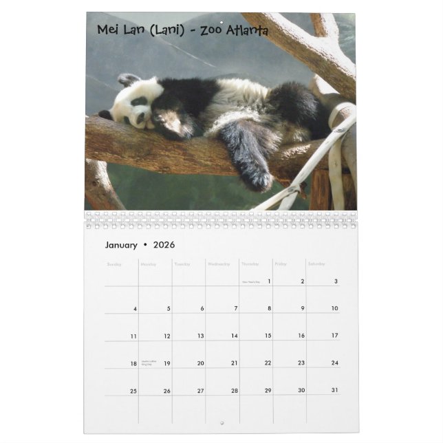 Calendario ¡Una pasión para las pandas! , 2009 hacen (Jan 2026)