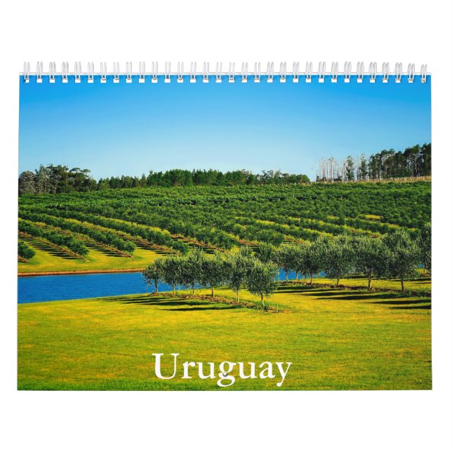 Calendario Uruguay (Tapa)