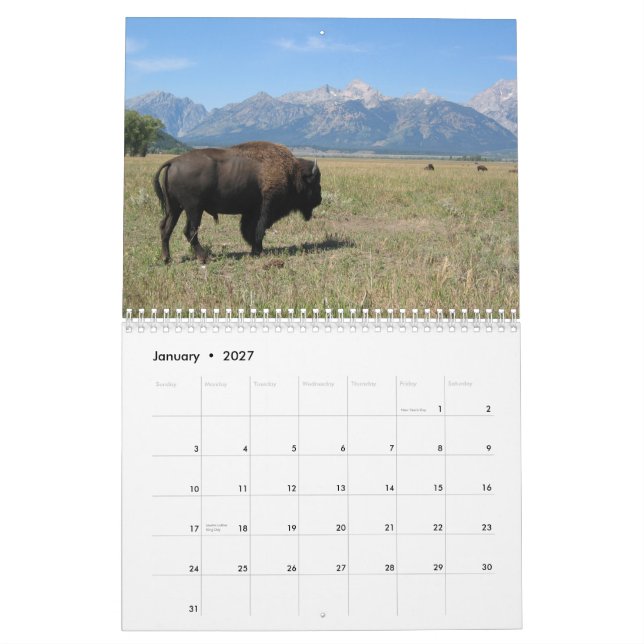 Calendario Vacaciones de Frey (Jan 2027)