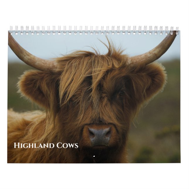 Calendario Vacas de la Highland 2026 (Tapa)