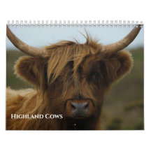 Vacas de la Highland 2026