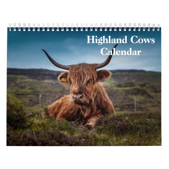 Calendario Vacas Highland 2025 (Tapa)