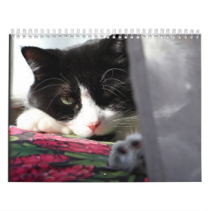Calendario Valiente Señor Bebé