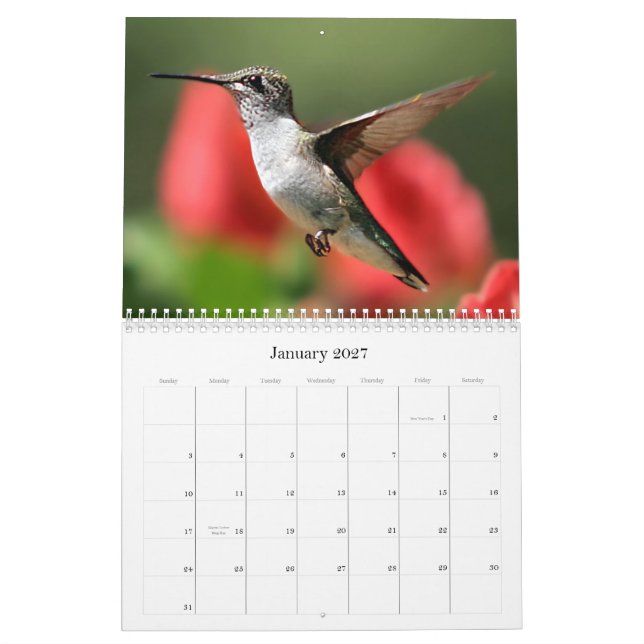 Calendario Valle Vision (Jan 2027)