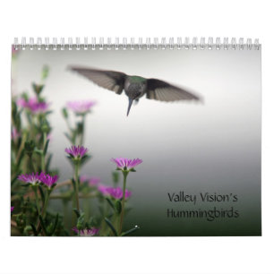 Calendario Valle Vision