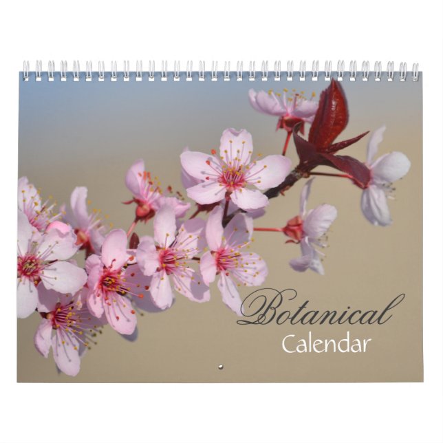 Calendario Variedad de flores (Tapa)