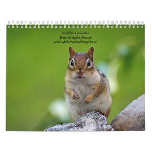 Calendario Variedad de vida silvestre 2026