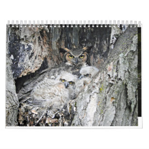 Calendario Varios pájaros y pavos