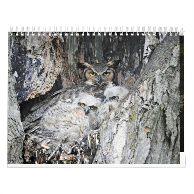 Calendario Varios pájaros y pavos (Tapa)
