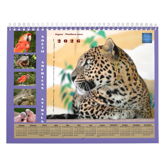 Calendario Various animals of South America Calendar (Tapa)