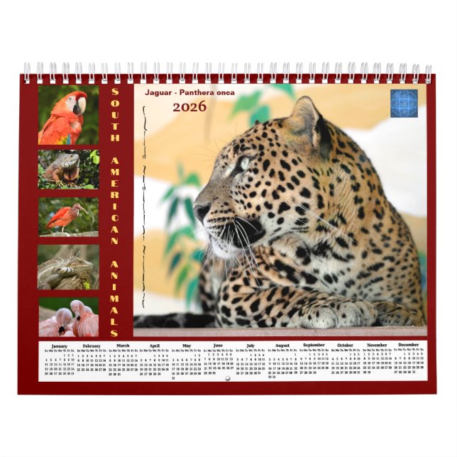 Calendario Various animals of South America Calendar (Tapa)