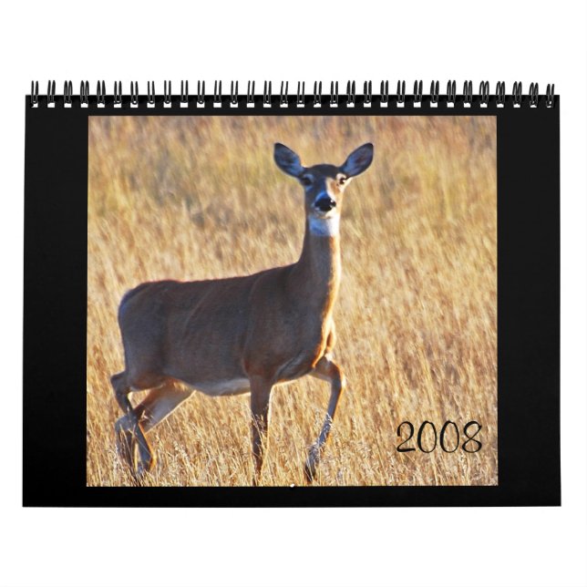 Calendario ¡Venado de cola blanca en la duna! (Tapa)