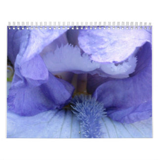Calendario Veo un iris