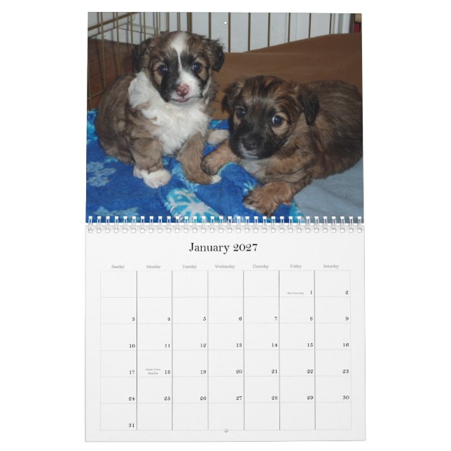 Calendario Vera y sus perritos (Jan 2027)