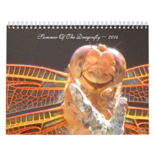 Calendario Verano del ~ 2014 de la libélula