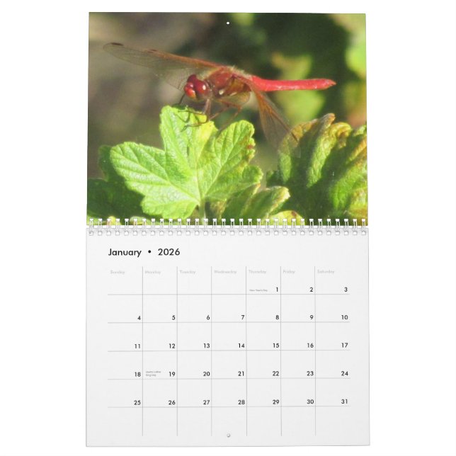 Calendario Verano del ~ 2014 de la libélula (Jan 2026)