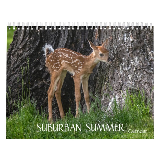 Calendario Verano suburbano (Tapa)