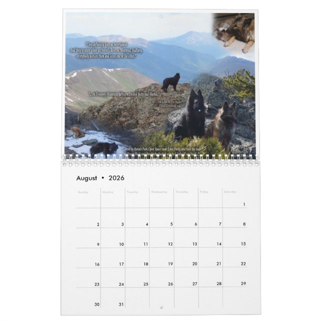 Calendario Verdadero cachorro de Knight Tervurens reseña el c (Aug 2026)