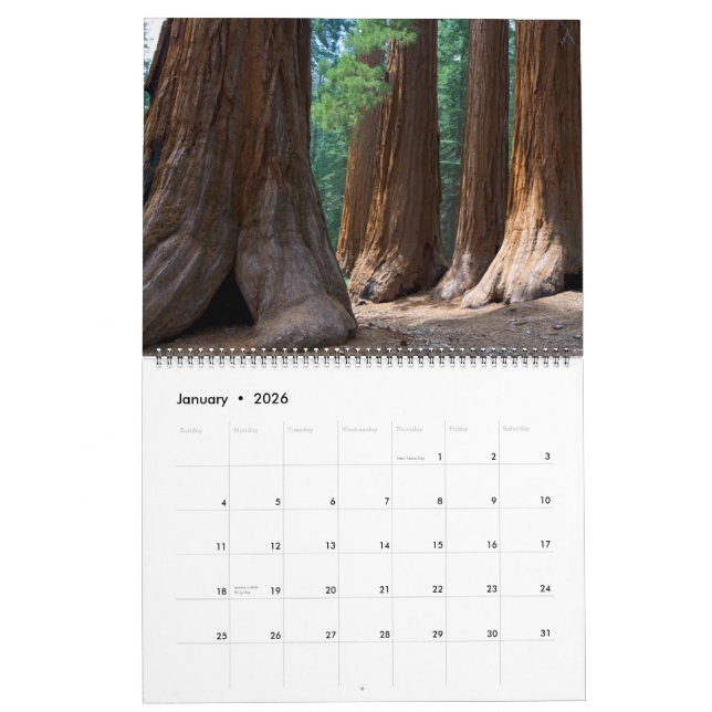 Calendario versión 2010 de JCBPhotos.net 1 (Jan 2026)