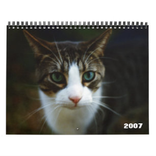 CALENDARIO VESPA 2007
