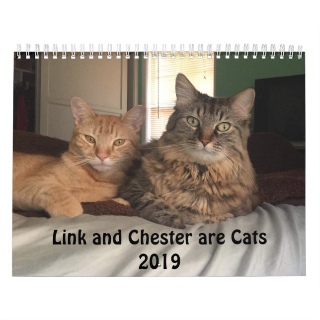Calendario vestido de los gatos 2019 (Tapa)