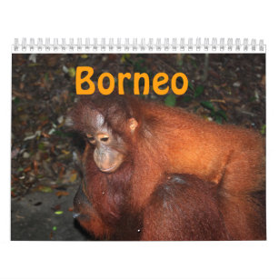 Calendario Viaje y orangutanes de Borneo