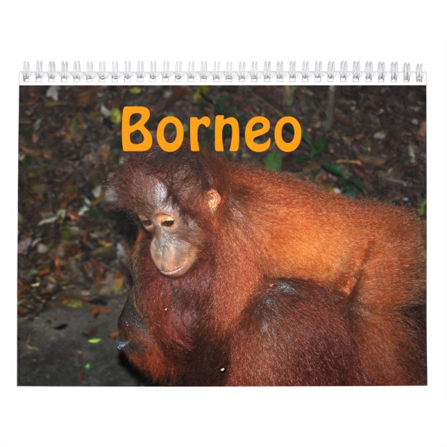 Calendario Viaje y orangutanes de Borneo (Tapa)