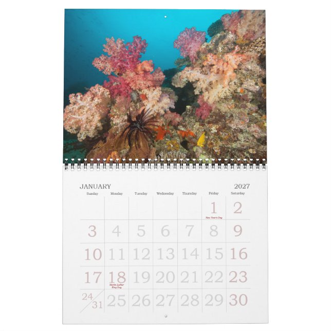 Calendario Viajes subacuáticos 2011 (Jan 2027)