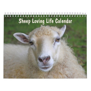 Calendario Vida amorosa de las ovejas