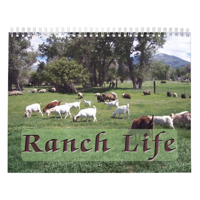 Calendario Vida en el Rancho Blackman (Tapa)