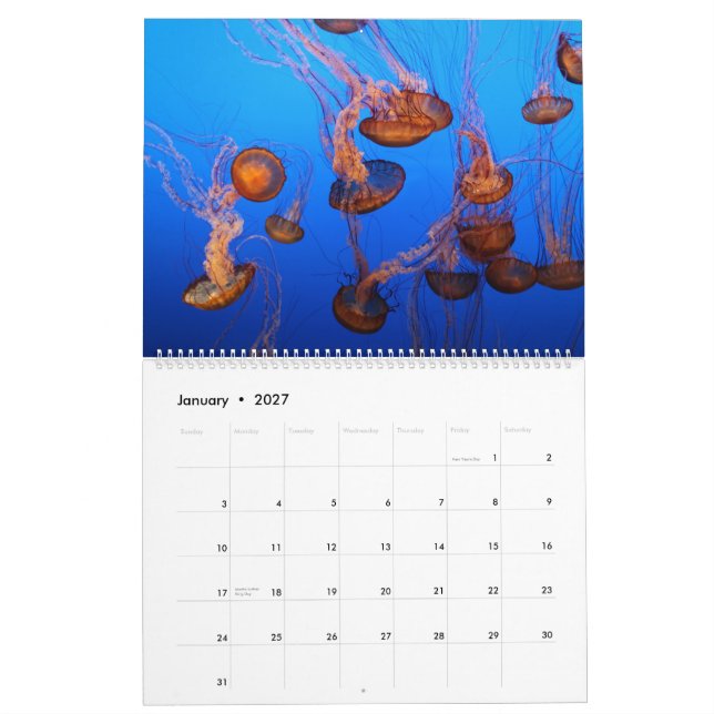 Calendario Vida marina (Jan 2027)