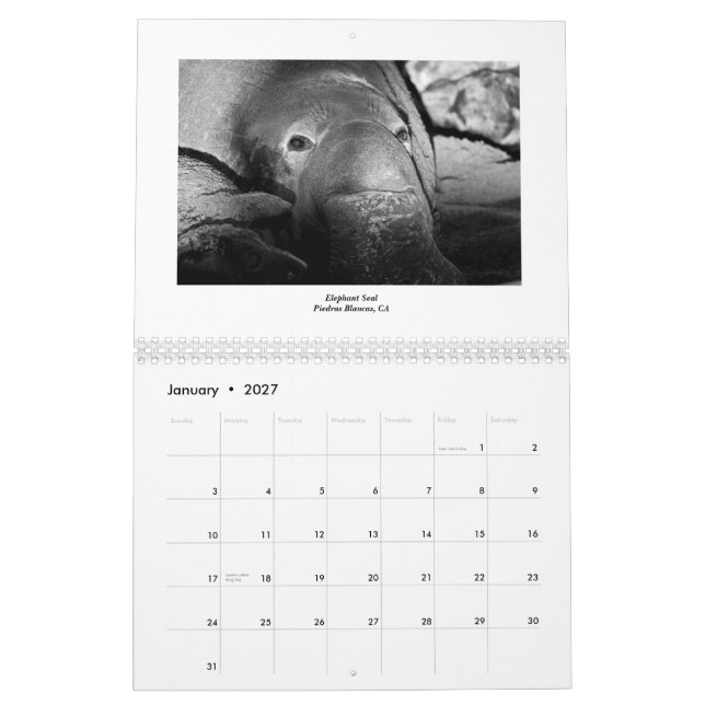 Calendario Vida marina 2011 (Jan 2027)