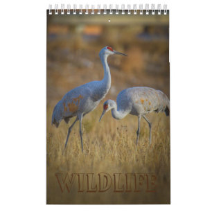 Calendario Vida silvestre