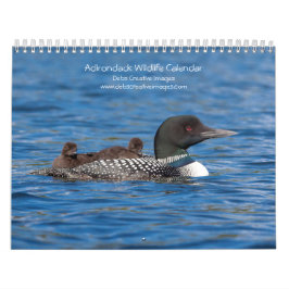 Calendario Vida silvestre Adirondack 2026