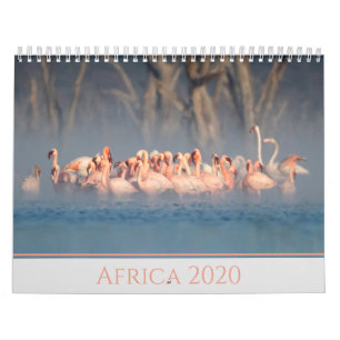 Calendario Vida silvestre de África 2020