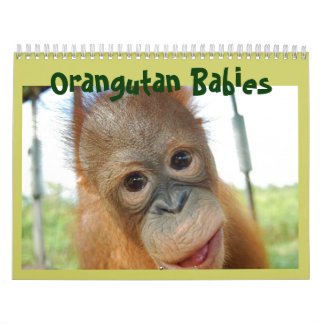 Calendario Vida silvestre de los simios pequeños