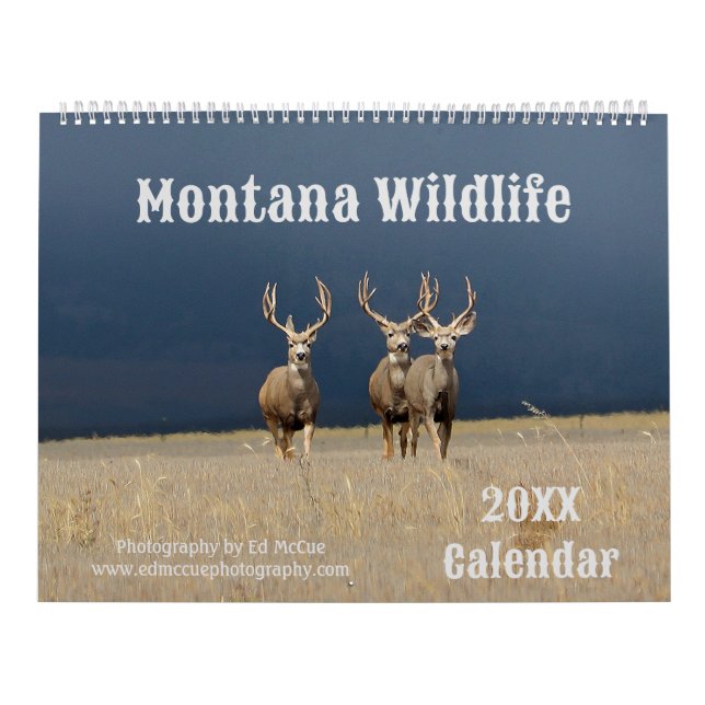 Calendario Vida silvestre de Montana (Tapa)