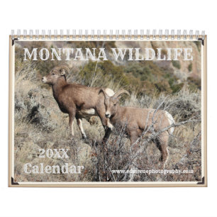 Calendario Vida silvestre de Montana
