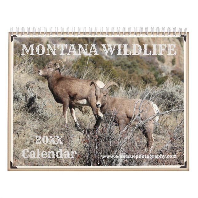 Calendario Vida silvestre de Montana (Tapa)
